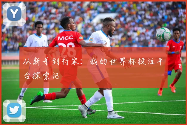 从新手到行家：我的世界杯投注平台探索记