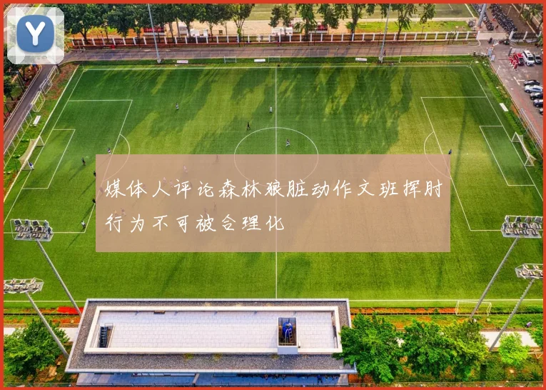 媒体人评论森林狼脏动作文班挥肘行为不可被合理化