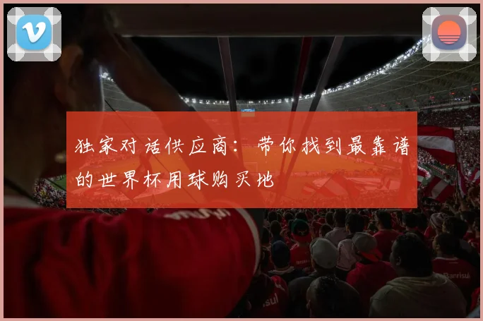 独家对话供应商：带你找到最靠谱的世界杯用球购买地